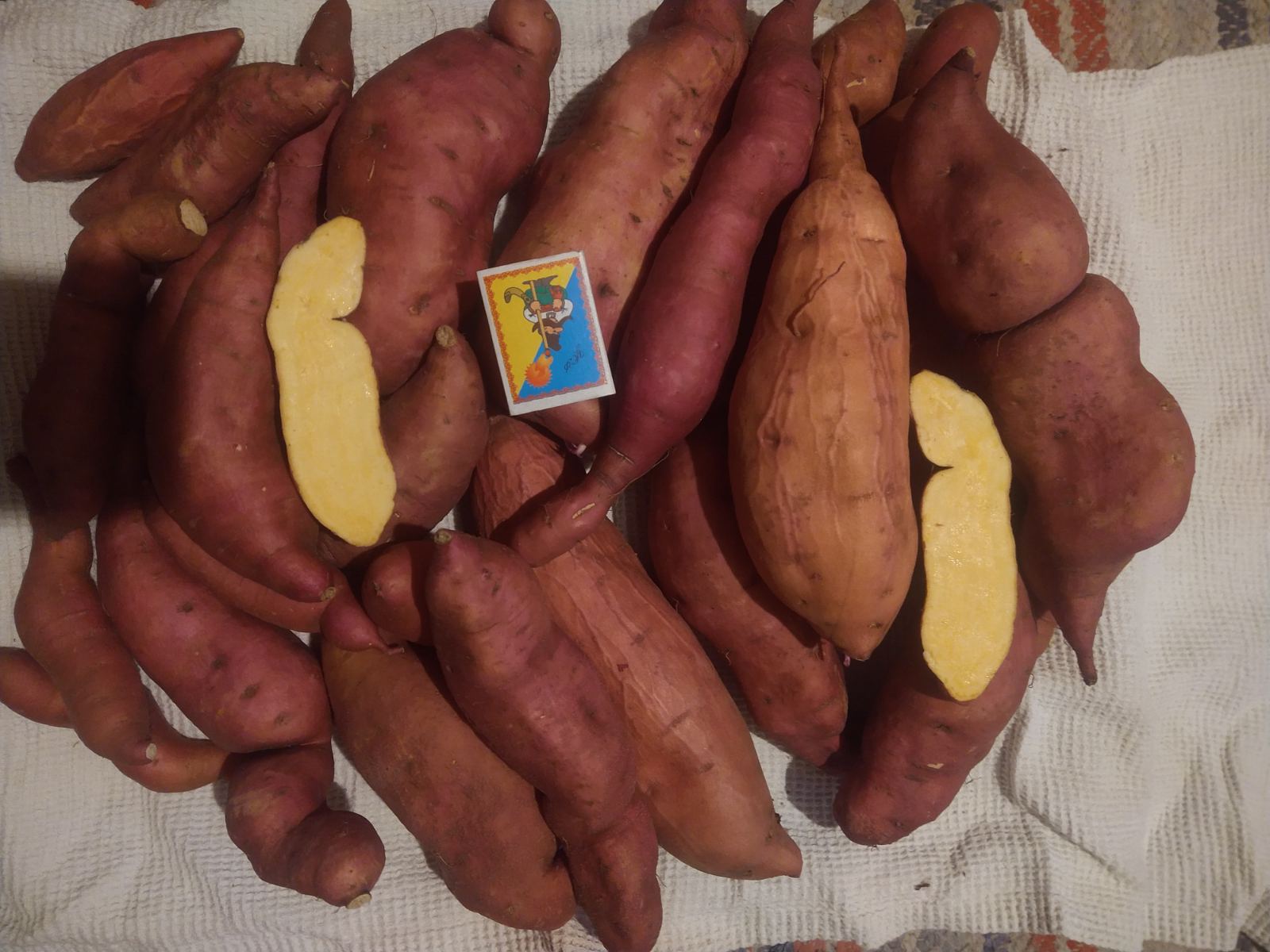 Батат "Тайнунг", кг.